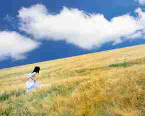 免‍费﻿的‌黄‌金﻿软‍件​